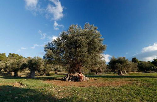 Kouvelia Country Home Luxury Villa Rental - Foto 10