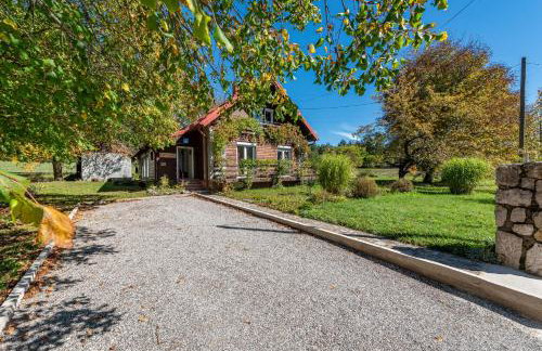 Magnus Lupus - Foto 13