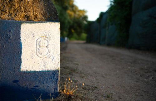 Quinta do Archino - Foto 13