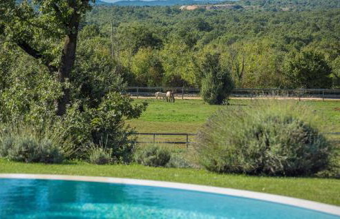 Villa zu den Drei Eichen-Barat - Foto 27