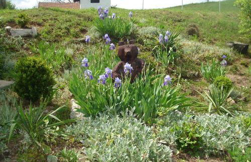 Apartments Pavlić - Foto 73