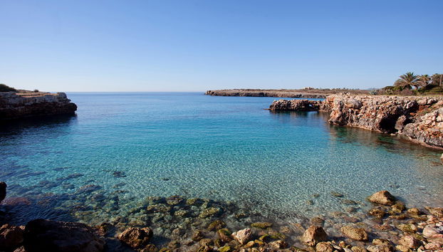 Cala Morlanda Estudios - Foto 4