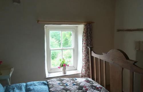 Rhandirmwyn - Cottage - Sleeps 4 - Pet Friendly - Foto 70