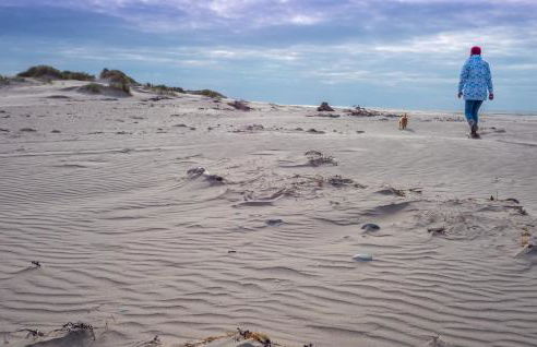 Enlli Fach cabin sleep's 2 adults and 2 children 2 dogs welcome not suitable for contract workers due to parking height restrictions - Photo 24