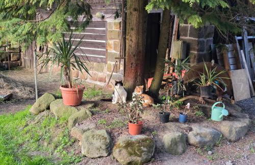 Waitzdorfer Landhaus Pieper - Foto 37