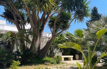 La Corte di Zia Lucia - vicino Ospedale Panico - Cammino del Salento - Foto 15