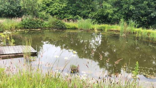 Stables, 2 bed, Private Eco House, Dartmoor - Foto 4