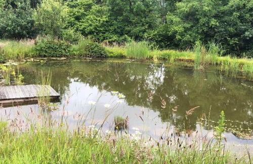 Stables, 2 bed, Private Eco House, Dartmoor - Foto 4