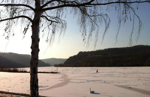 Historische Mühle Vogelsang - Foto 48