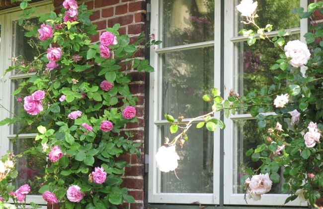 Romantic Thatched Roof House - Foto 48