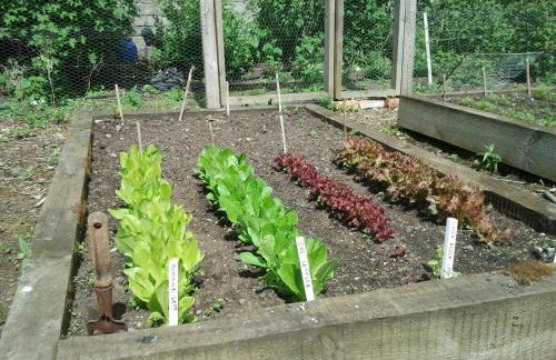 Newforge House - Foto 21