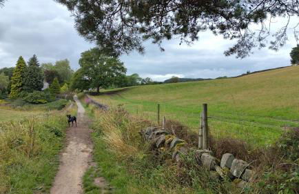 Dogs stay free, country walks from door, EV station, fenced garden, near gastro pub - Foto 18