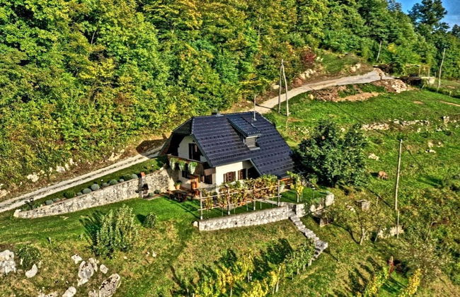 Vineyard cottage Podrzaj - Foto 13