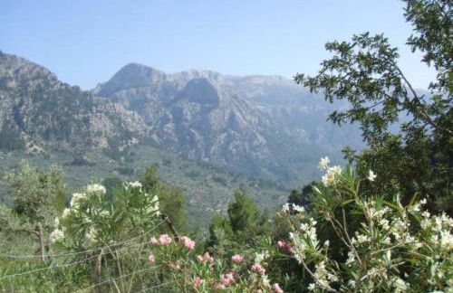 Casita de Montaña cerca del mar - Foto 12