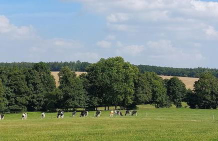 Auszeit-Oase - Foto 35