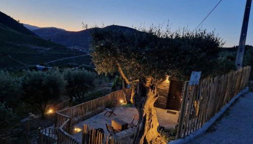 maison du olival - Foto 1