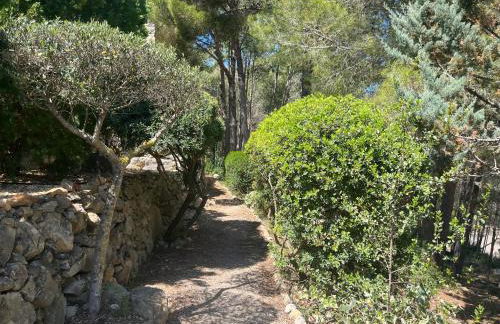 Denia Dream Seaview Golf, Tennis & Beach Villa - Foto 40