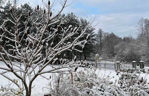 Drewniany Domek w Zakątku Andrzeje Śniczany 18 - Photo 72