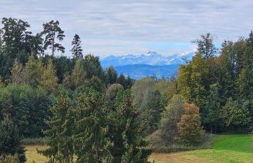 Penthouse Pfänderblick Alpenpanorama am Bodensee - Foto 7