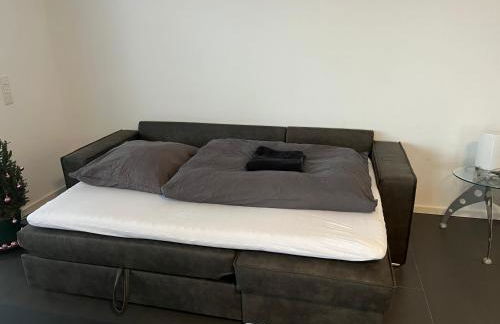 Luxuswohnung direkt am Phönixsee - Foto 17