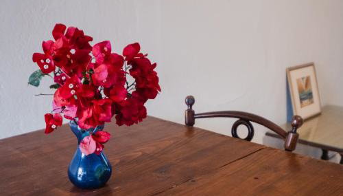 Nona's House - Foto 5