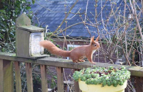 'Monktonmead Lodge' in secluded setting, with private indoor pool. - Photo 43