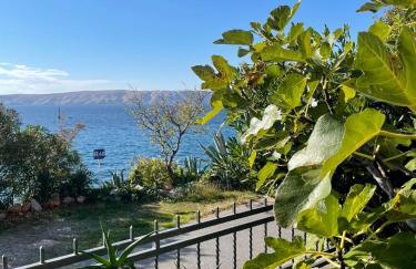 Apartman Grospic - Foto 33