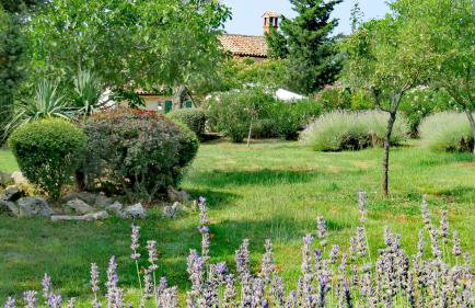 Cottage Casa Vinela - Foto 35