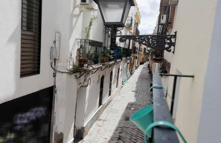 Alameda Sunny Terrace - Lovely Center Apartments - Photo 16