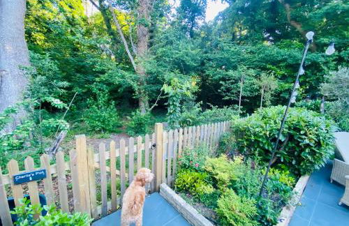 Little Woodside a beautiful New Forest self contained private luxury annexe - Foto 77