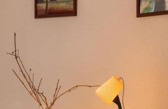 Irie - baskeyrentals - Foto 7