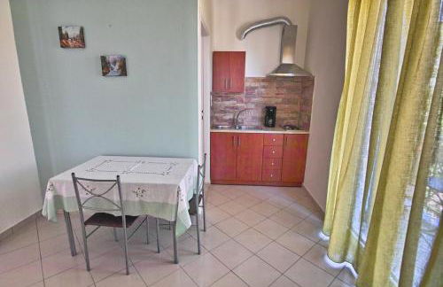 Plumeria Flowery - Foto 46