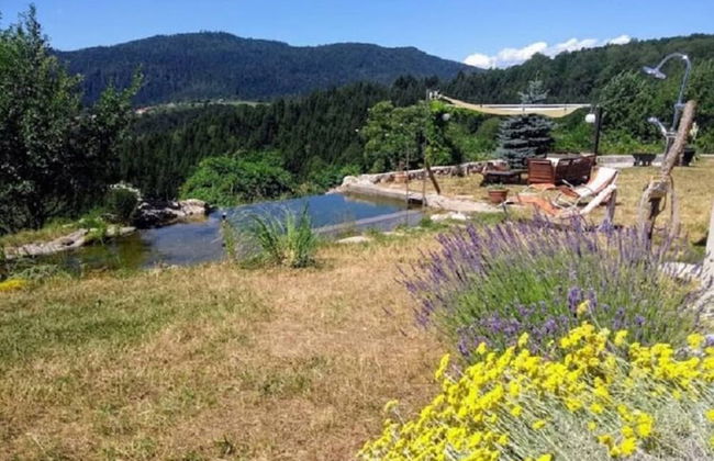 Comfy Holiday Home in Bunjevci With Hot Tub - Photo 19