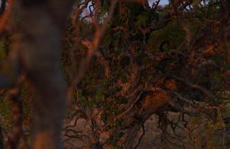 Logement entier de charme, gite équestre GERS Flamarens - Foto 48