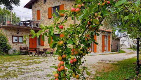 Agriturismo Il Falco del Monte Fumaiolo - Foto 5, Garden, Garden view