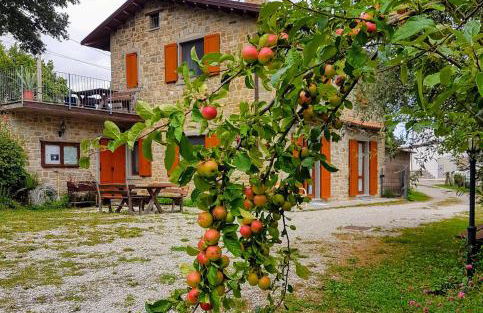 Agriturismo Il Falco del Monte Fumaiolo - Foto 5