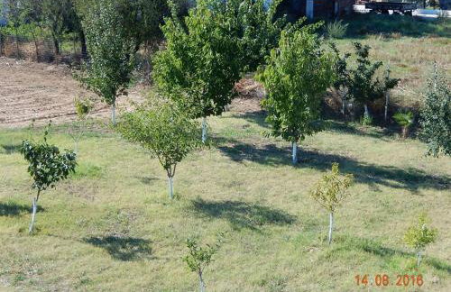 Noula Rooms - Photo 12