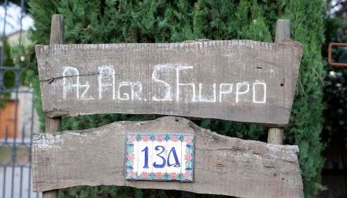 Tenuta San Filippo - Foto 2