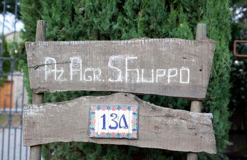 Tenuta San Filippo - Foto 2