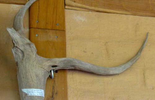 Chácara Morro da Pedra - Foto 57