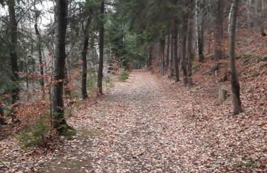 Haus Stefanie Elvire - Foto 64