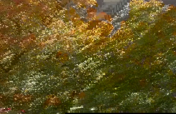 Spacious 4 Room Apartment & Sauna - Photo 28