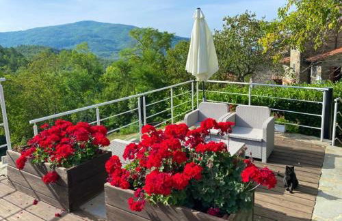 Agriturismo Vezzano - Foto 40