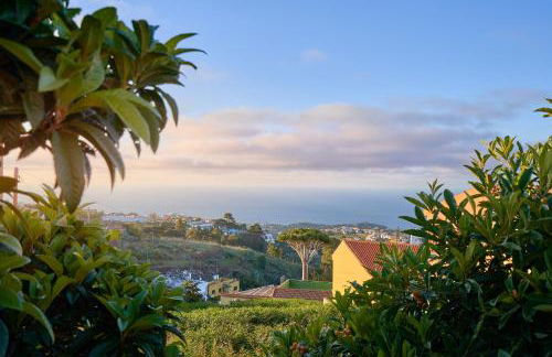 Casa Mami Yaya - Foto 38