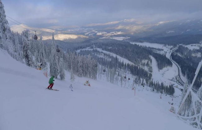 Ferienwohnung im Bayerischen Wald mit Sauna - Foto 35