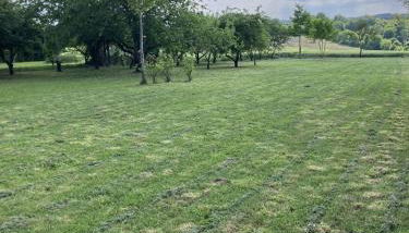 Les Fouchers 11 personnes - Foto 4, Garden