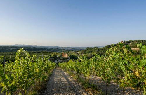 Tenuta la Torraccia agriturismo - Foto 23