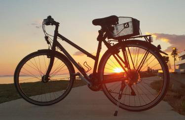 Apartments Laura 1 - Photo 67