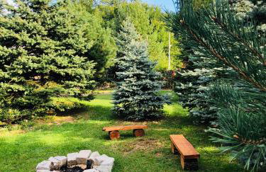 U Wrót Bieszczad - Foto 31