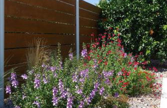 Orange Garden Villa, Sparta - Foto 33